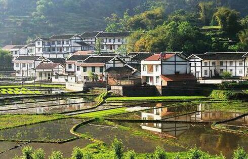 住建部：特色小镇需要降温 同质化、脱离实际问题频现
