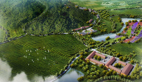 千年茶贸古镇，如何转型成“文化 产业”的文旅小镇？