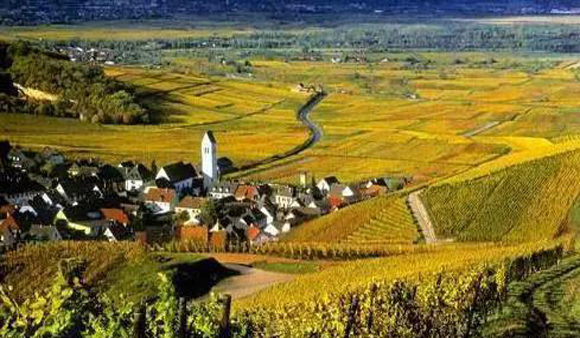 美国最成功的农业特色小镇集群——纳帕谷