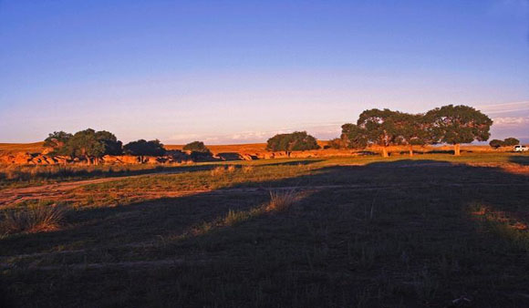 推动草原旅游新模式——构建达尔罕天风特色小镇