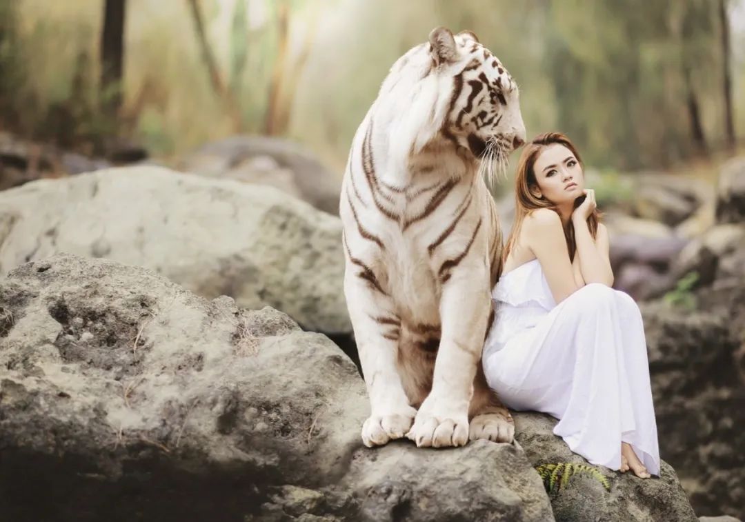 商业为何“旧去新不来”？