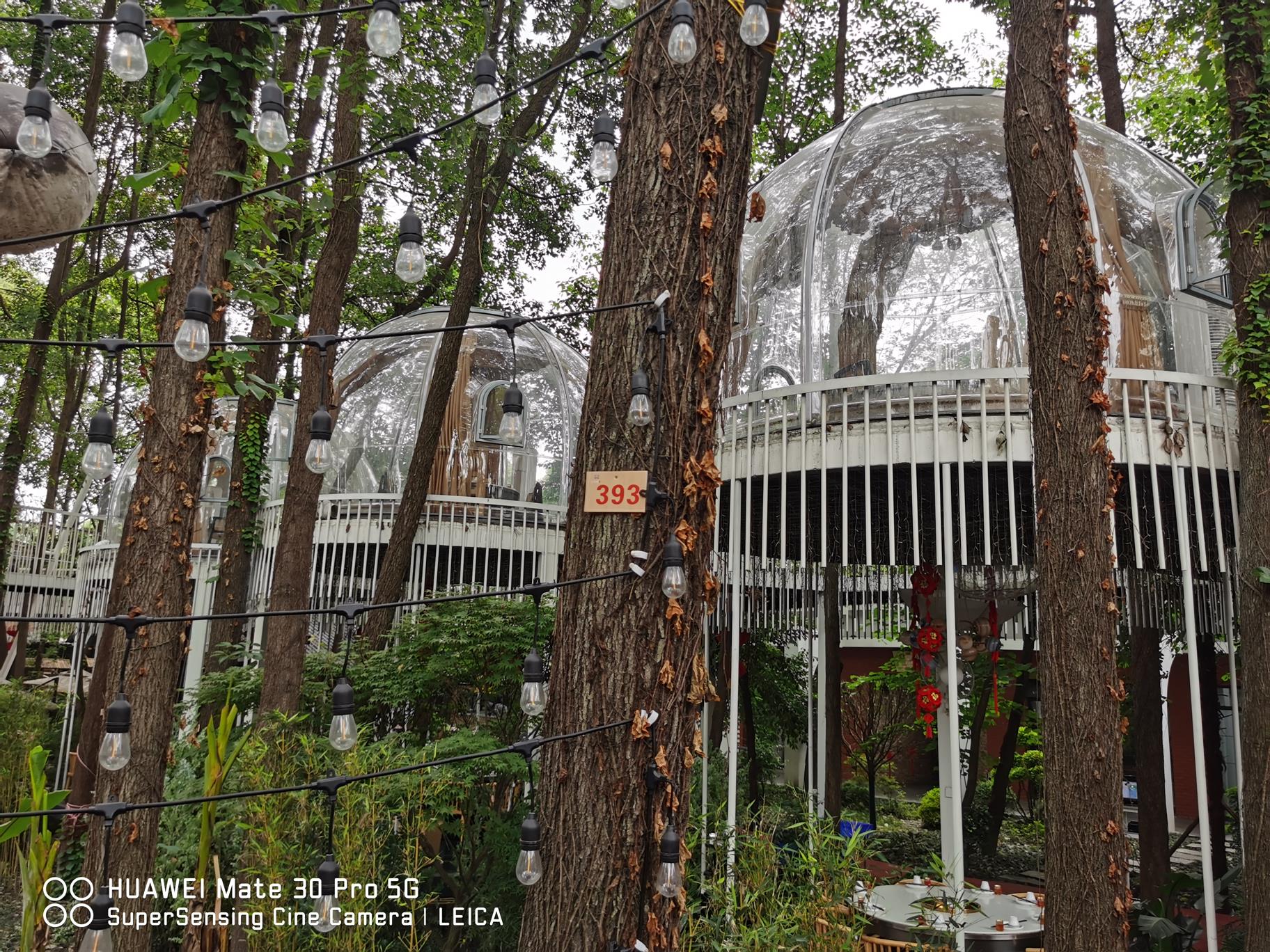 盒马搭上了京东，图什么？