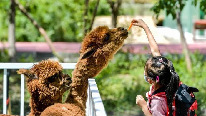 如何塑造与众不同的美好？融创商业给出了答案