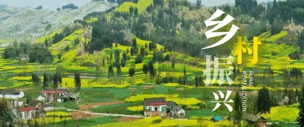 探索乡村振兴新模式：文旅 研学前景可期