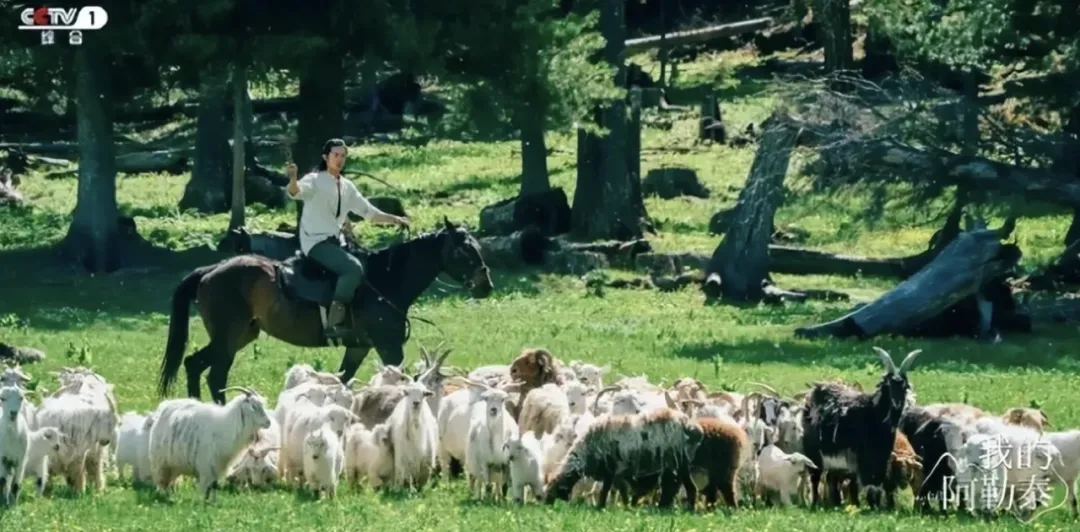 “我的阿勒泰”火了一座城，是城市发展的机遇也是挑战
