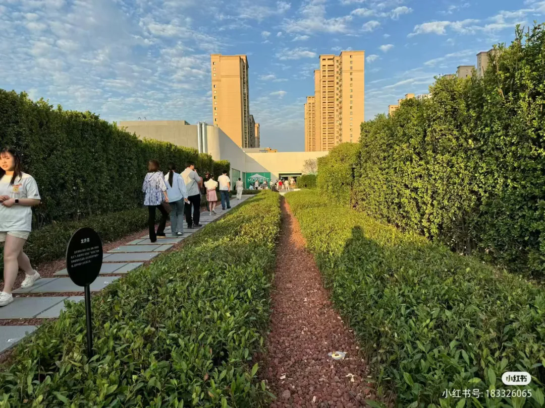 “卷哭”了！这些挤爆了的新开mall更新了这些人气场景