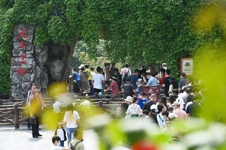 2024年一季度中国旅游市场分析报告