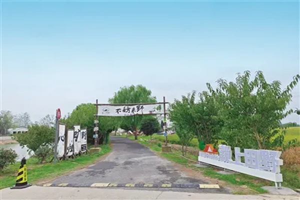 衢州龙游小南海镇：担当有为，推进诗画小南海焕新蝶变