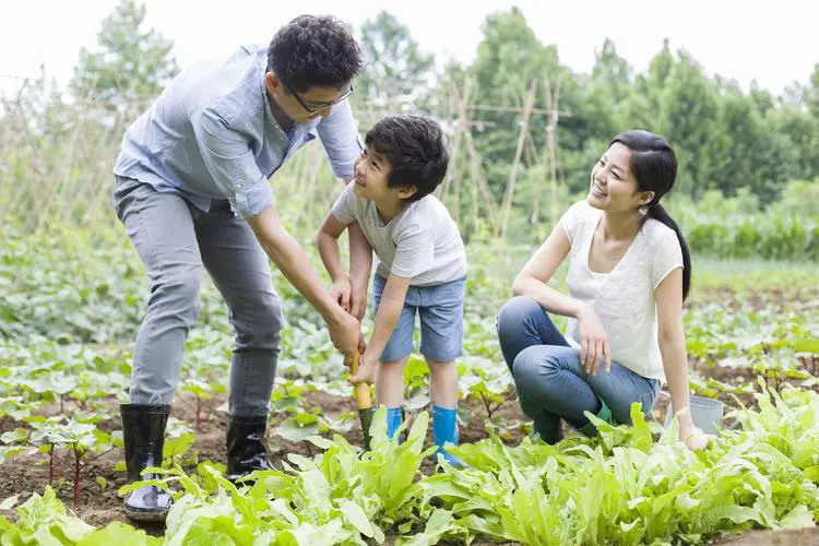要想打造一个成功的“亲子＋餐饮＋教育”的农场，这8点不能忽视