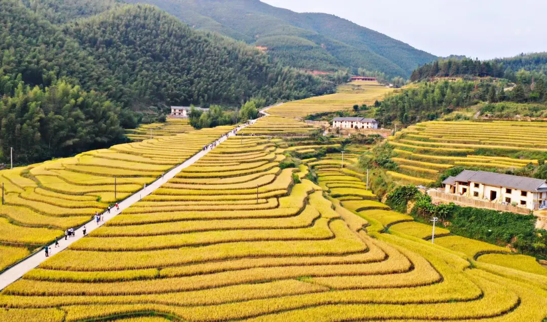 做好这8个点，才能真正“实现”乡村振兴！