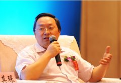 飙马中国商业地产顾问机构首席策划师何其琛