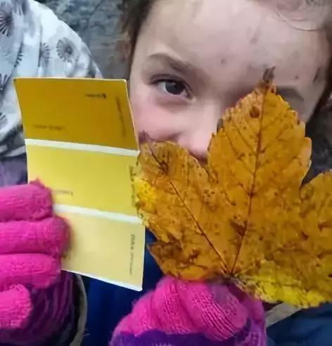 年收费19 .8万的“森林幼儿园”运营需要注意什么呢？