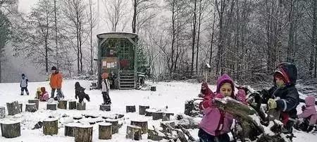 年收费19 .8万的“森林幼儿园”运营需要注意什么呢？