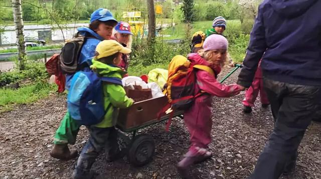 年收费19 .8万的“森林幼儿园”运营需要注意什么呢？