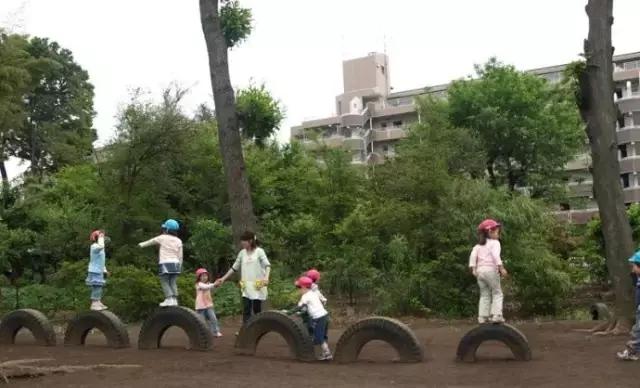 年收费19 .8万的“森林幼儿园”运营需要注意什么呢？