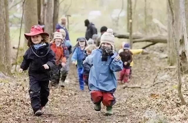 年收费19 .8万的“森林幼儿园”运营需要注意什么呢？