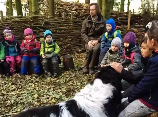 年收费19 .8万的“森林幼儿园”运营需要注意什么呢？