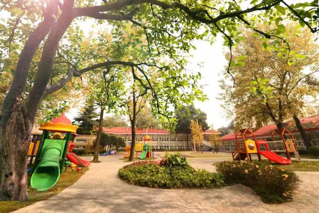 年收费19 .8万的“森林幼儿园”运营需要注意什么呢？