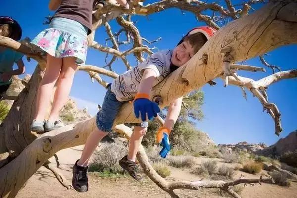 年收费19 .8万的“森林幼儿园”运营需要注意什么呢？