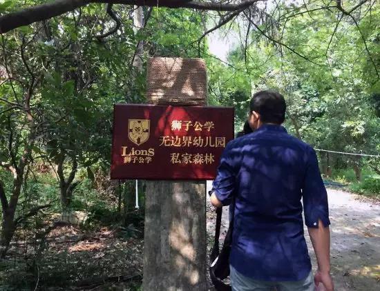 年收费19 .8万的“森林幼儿园”运营需要注意什么呢？