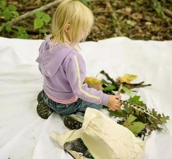 年收费19 .8万的“森林幼儿园”运营需要注意什么呢？