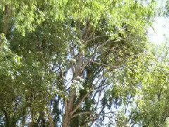 商业地产的定义及特点