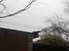 商业地产“超级ip”