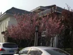 商业地产：唯不断求新创意，方可永保“青春”