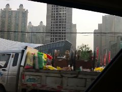 特色商业街整体运营管理，突出商业街品牌管理！