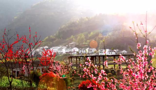 乡村旅游如何开发？成功案例借鉴、失败案例反思及开发模式分析