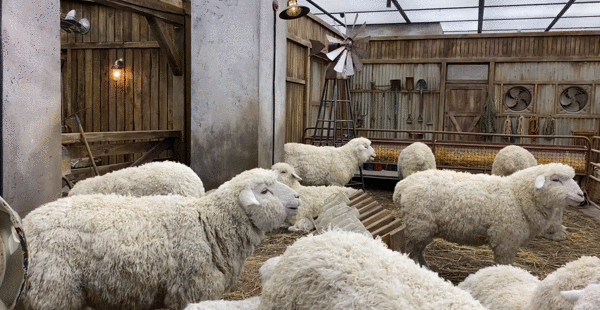 沉浸式体验:从1.0到3.0