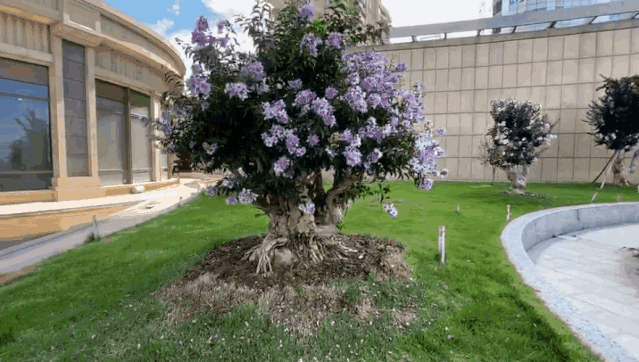 沉浸式体验:从1.0到3.0