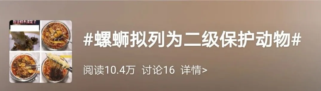 为什么螺蛳粉如此具有ip能量?