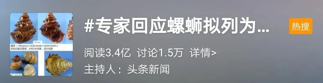 为什么螺蛳粉如此具有ip能量?