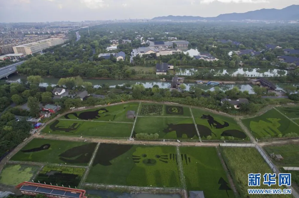 杭州gdp,为何始终不如成都武汉?