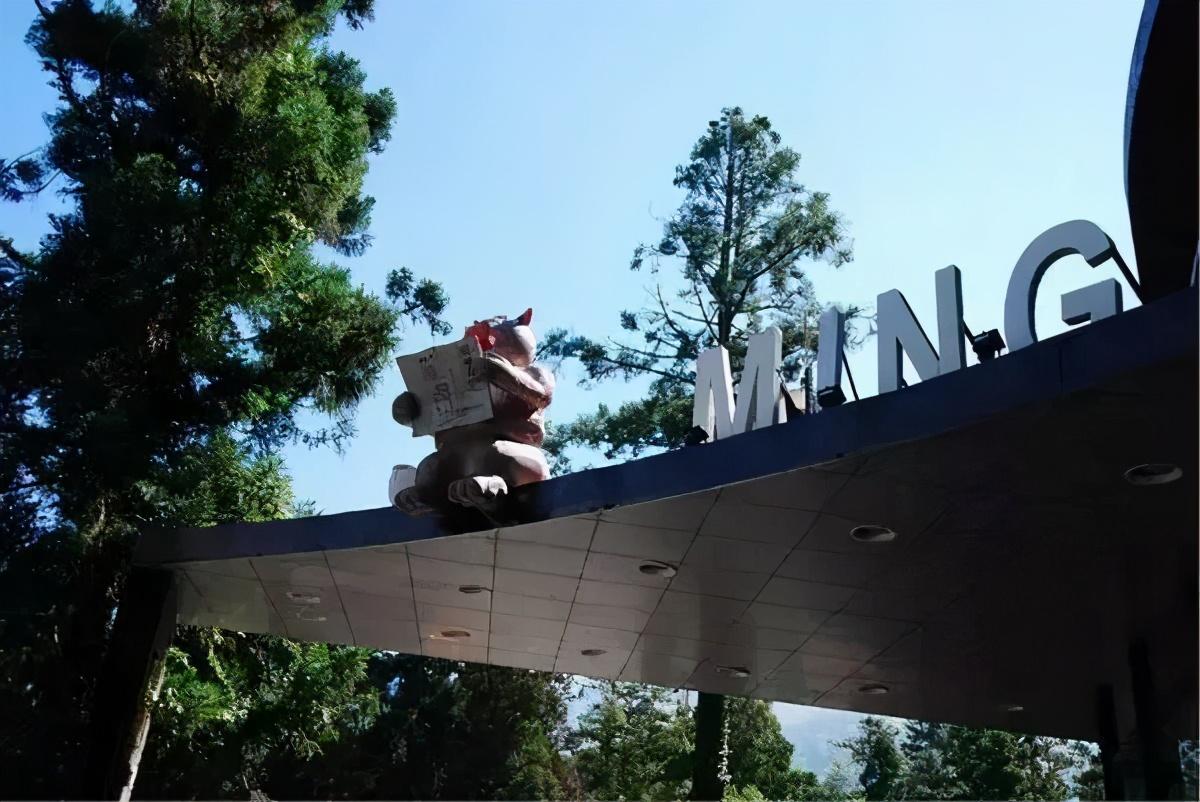 妖怪村、猫村和熊本熊，这些火遍网络的ip是如何打造的？