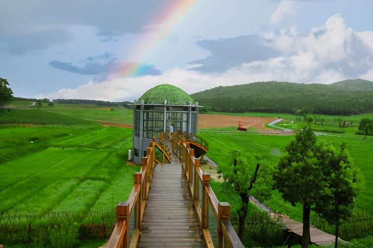 三瓜公社:三产融合,小而美打造乡村振兴样本