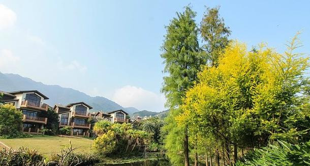 康养小镇六大发开类型