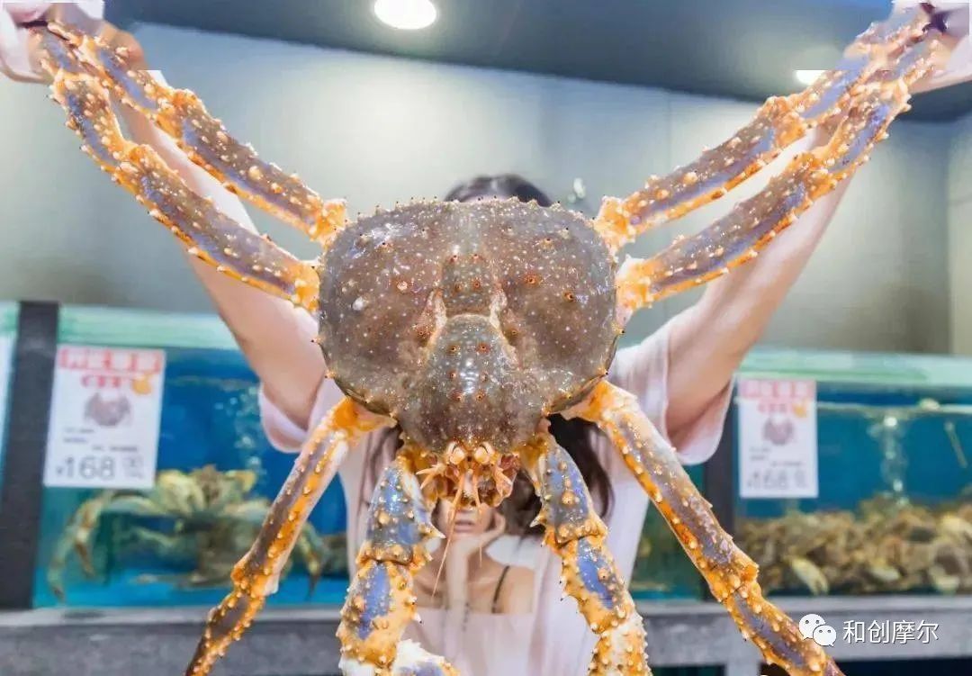 商业地产业态创新，就看谁最会搭配组合了