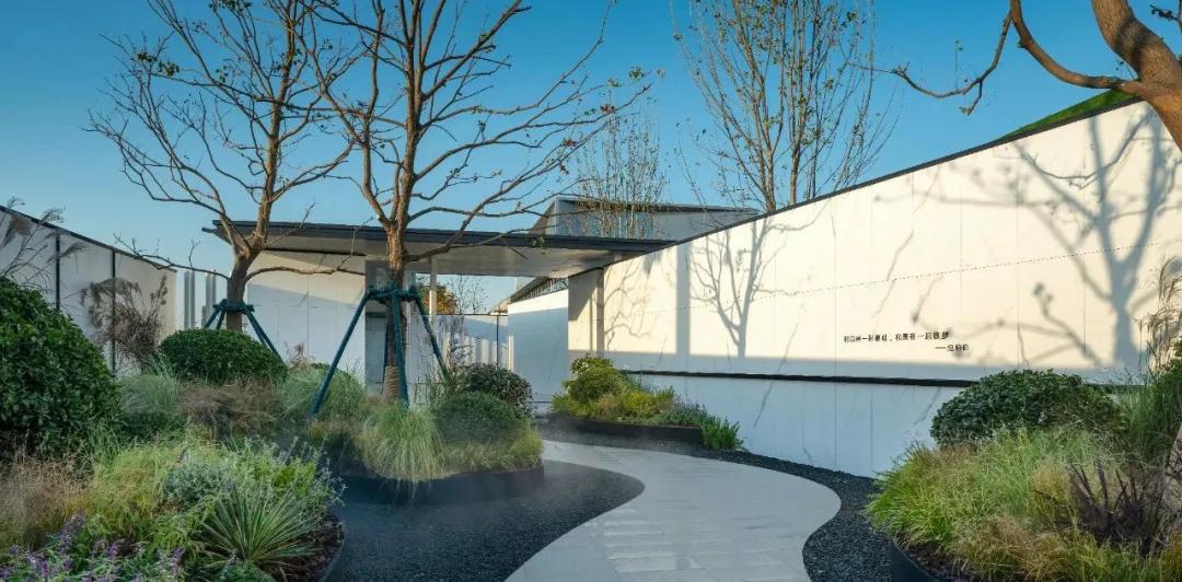 如何通过结构过程咨询节省成本？