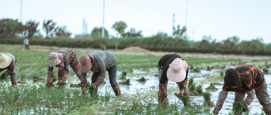 新型城镇化建设中的重点与难点