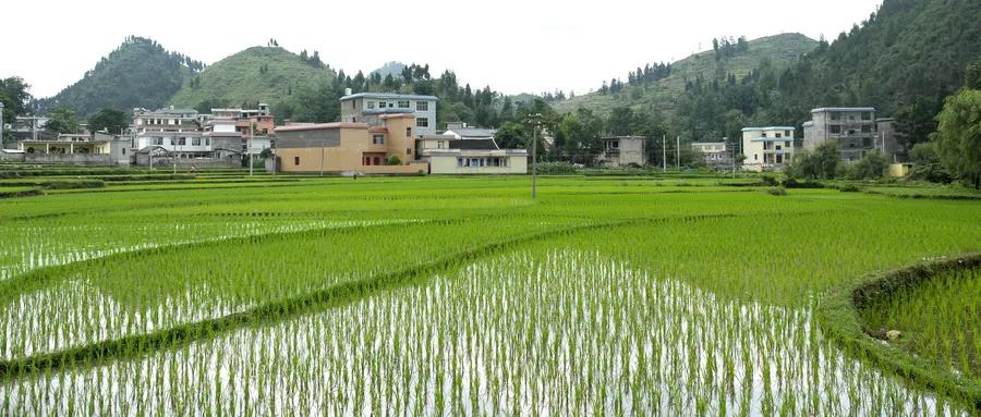 新型城镇化建设中的重点与难点