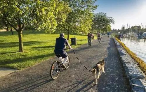 价值20个亿的康养小镇运营商业模式