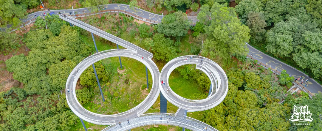 一个敢想一个敢建,盘点国内六大创意玻璃桥