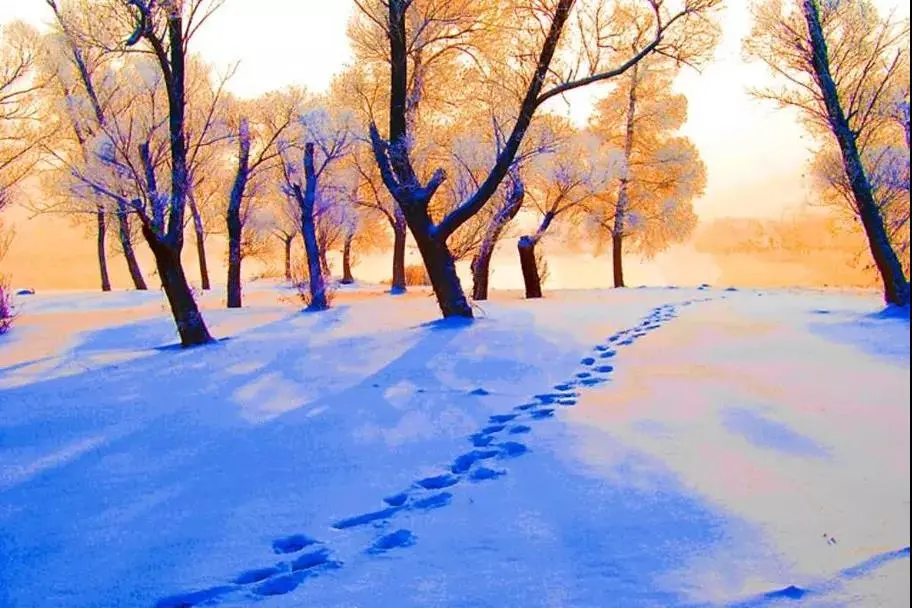 土地开发全过程梳理（收藏版）