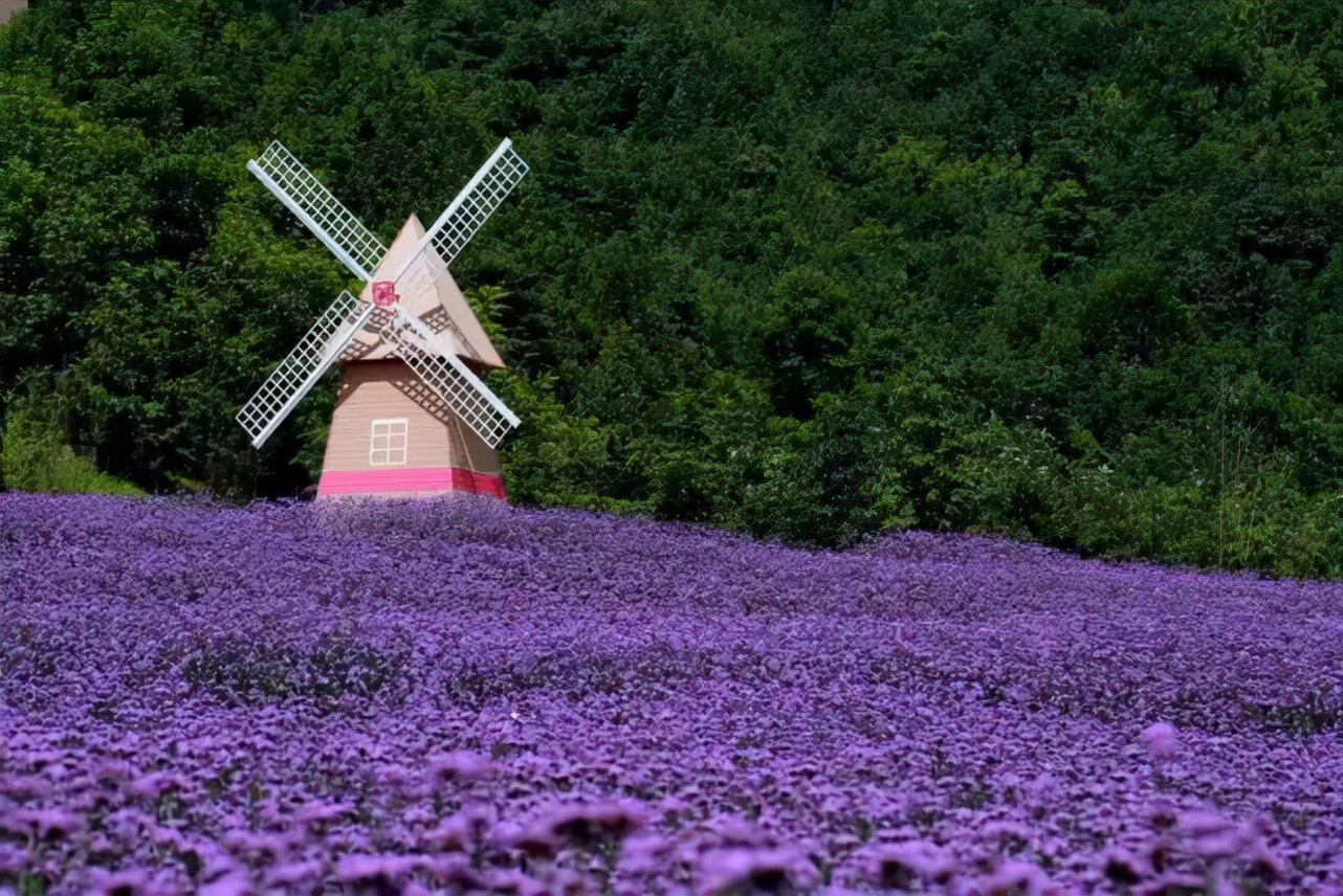 特色小镇运营必须以人为本