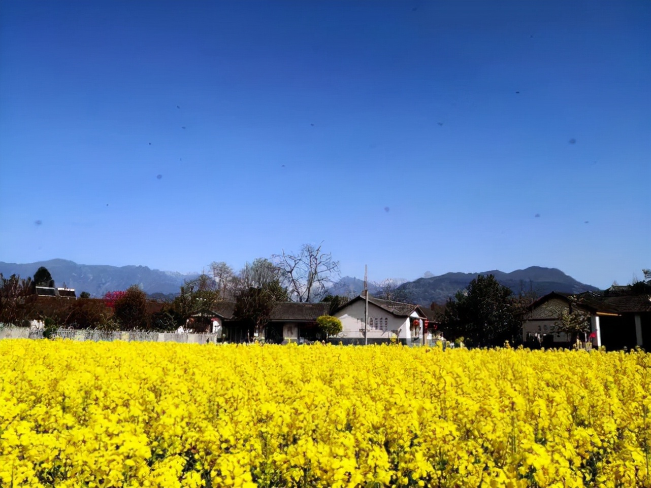 特色小镇运营必须以人为本